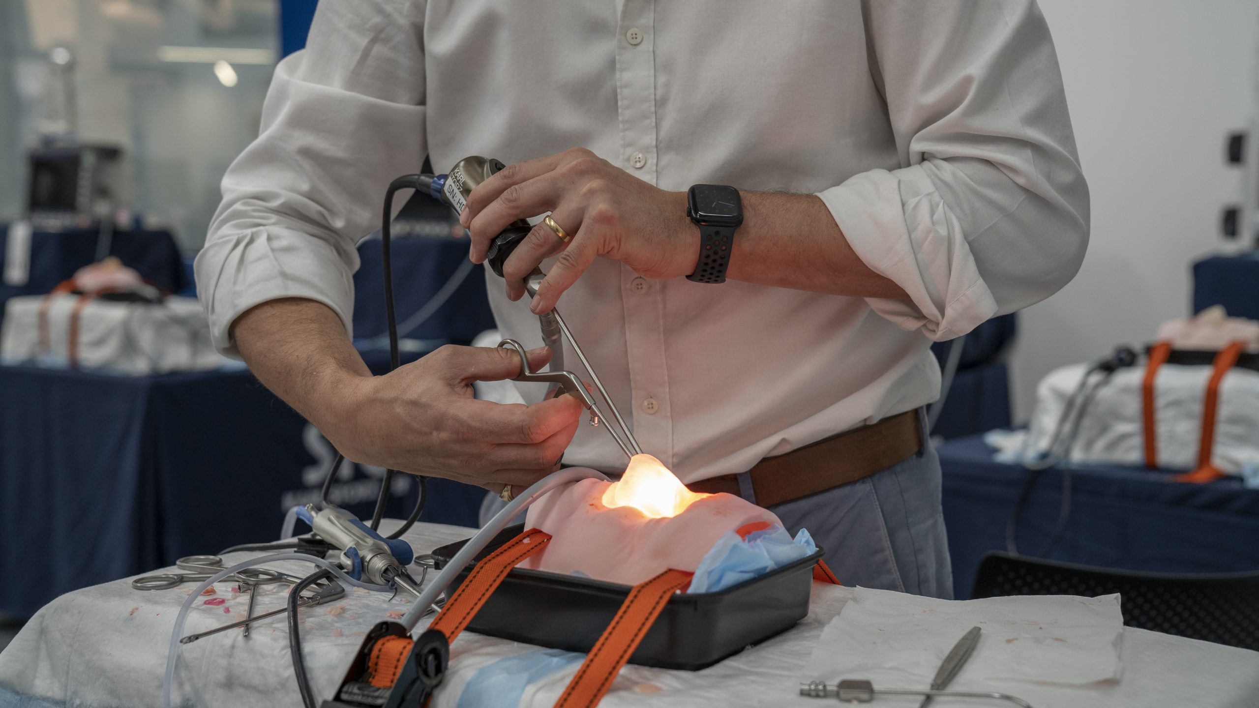 Hands-on surgical dissection